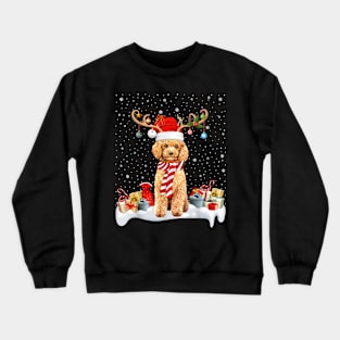 Xmas Lighting Reindeer Santa Hat Toy Poodle Christmas Crewneck Sweatshirt